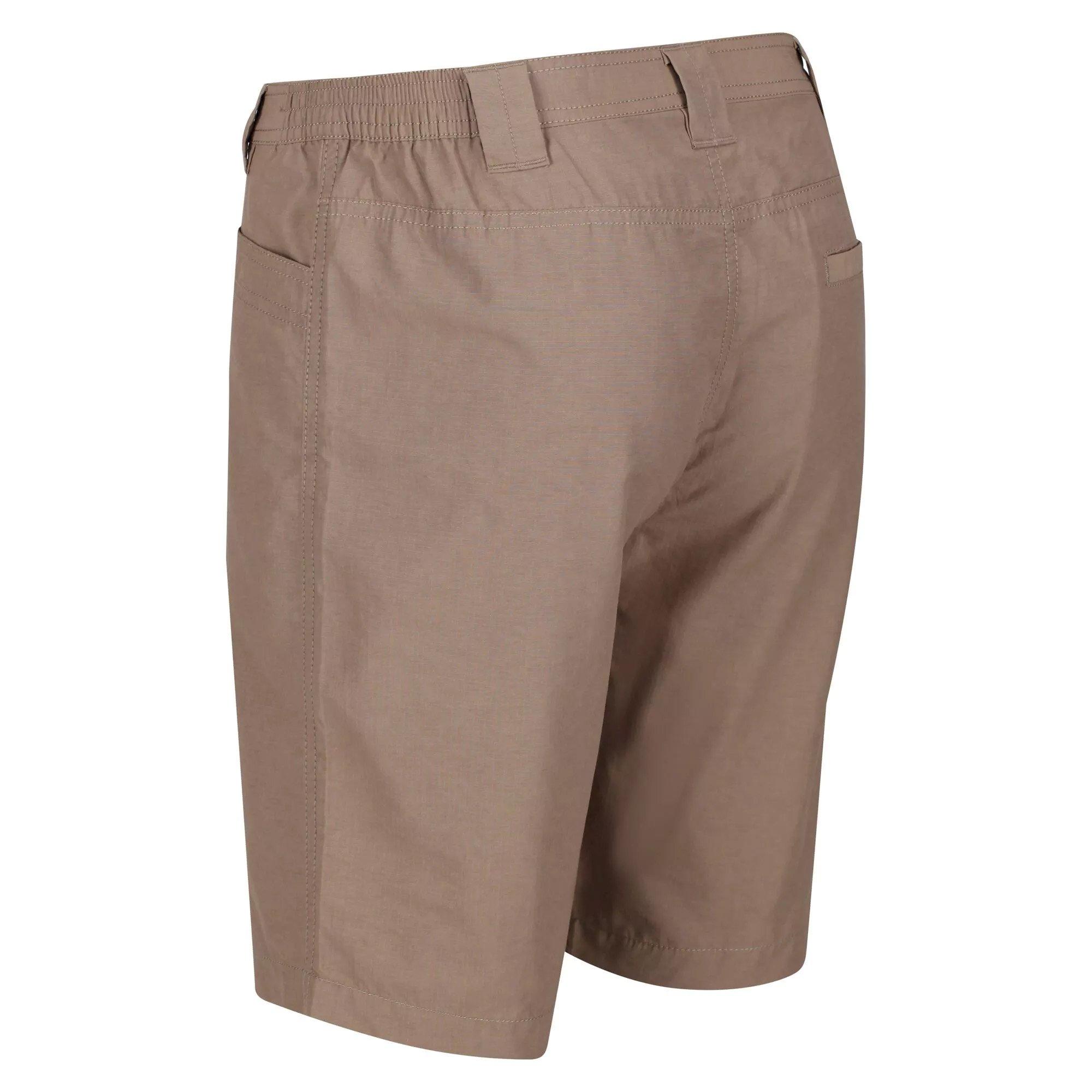 Regatta  Delgado Shorts 