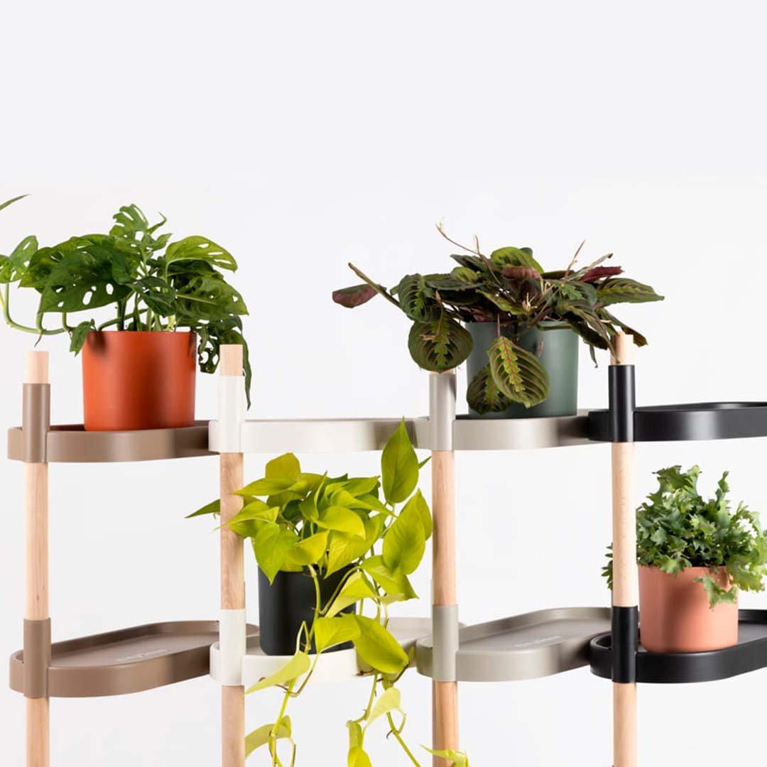 CitySens Étagères pour plantes  