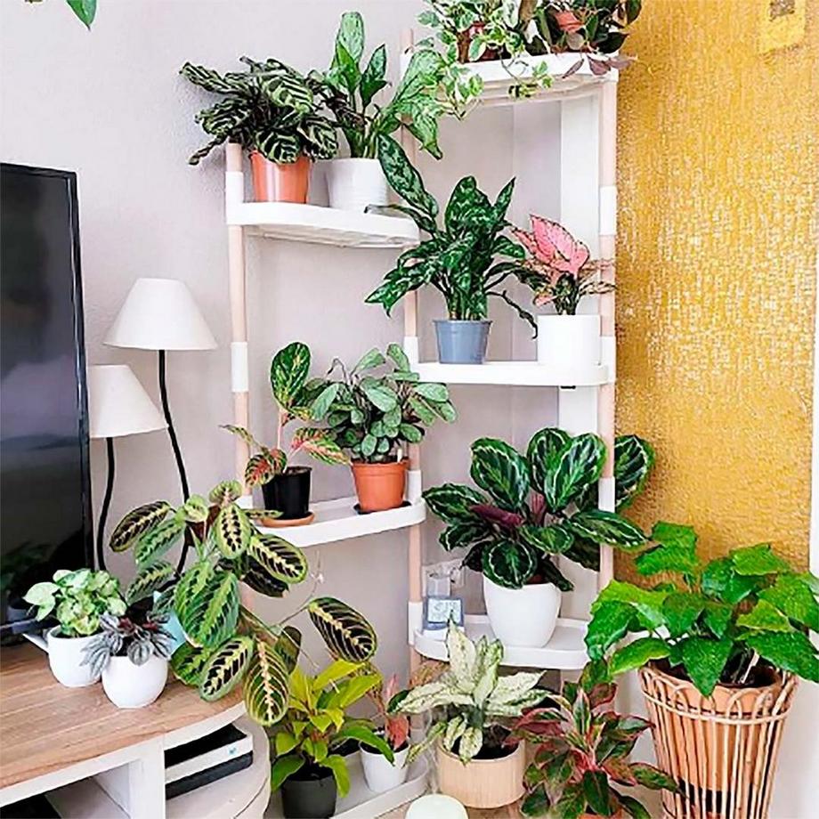 CitySens Pflanzenregal  