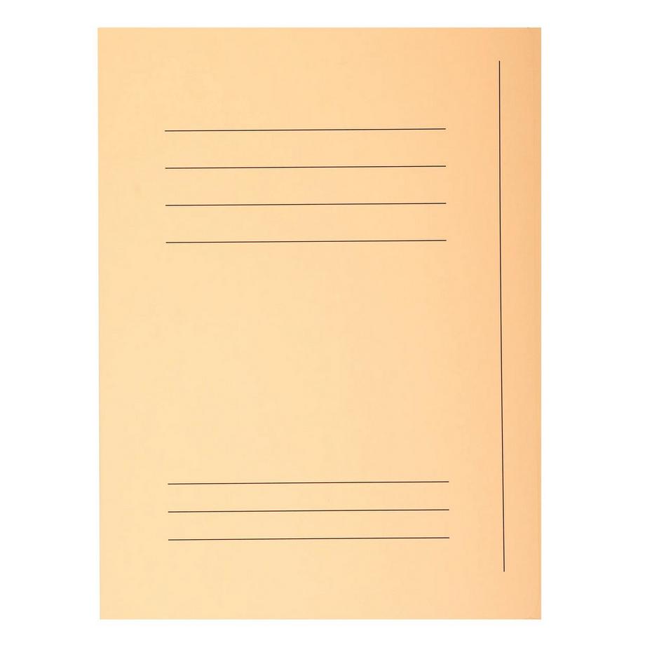 Exacompta Packung mit 50 Aktenmappen, mit 3 Klappen und Beschriftungsfeld, SUPER 210, 24x32cm für DIN A4  