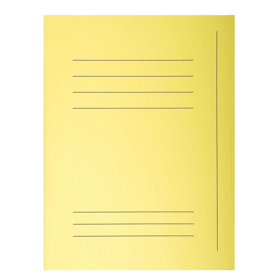 Exacompta Packung mit 50 Aktenmappen, mit 3 Klappen und Beschriftungsfeld, SUPER 210, 24x32cm für DIN A4  