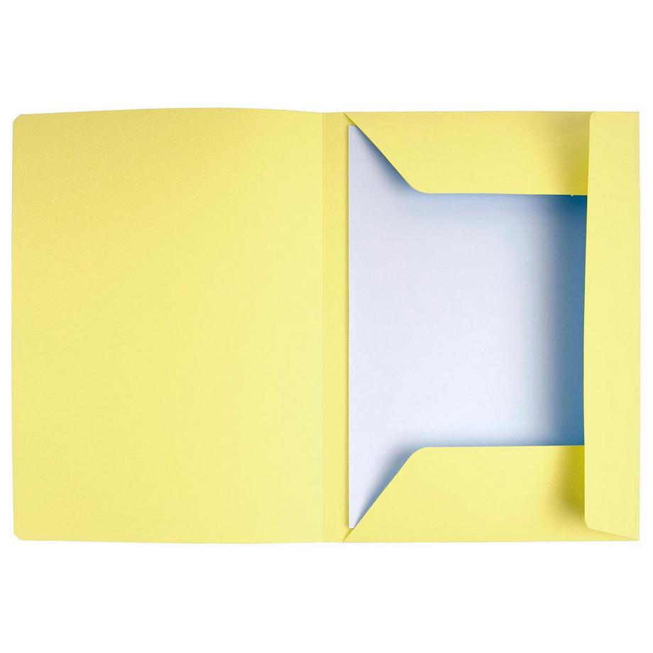 Exacompta Packung mit 50 Aktenmappen, mit 3 Klappen und Beschriftungsfeld, SUPER 210, 24x32cm für DIN A4  