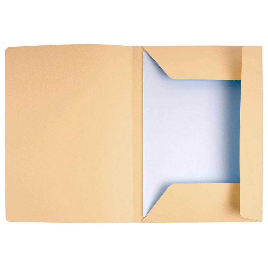 Exacompta Packung mit 50 Aktenmappen, mit 3 Klappen und Beschriftungsfeld, SUPER 210, 24x32cm für DIN A4  