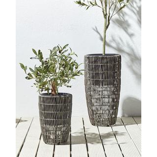 Beliani Lot de 2 pots de fleurs en Polyrotin Rustique CHELONE  