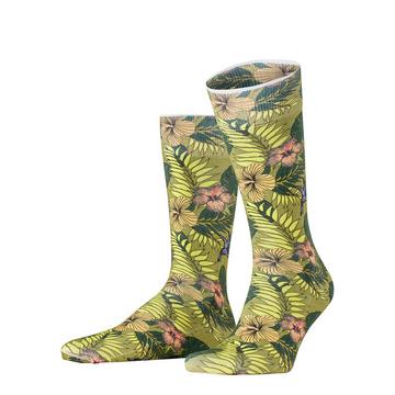 Chaussettes Tropical