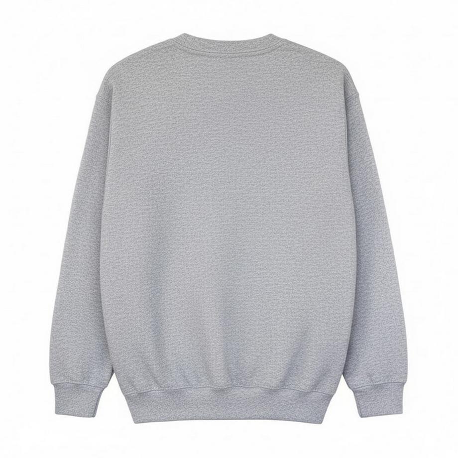 Disney  Sweatshirt  , Halloween 