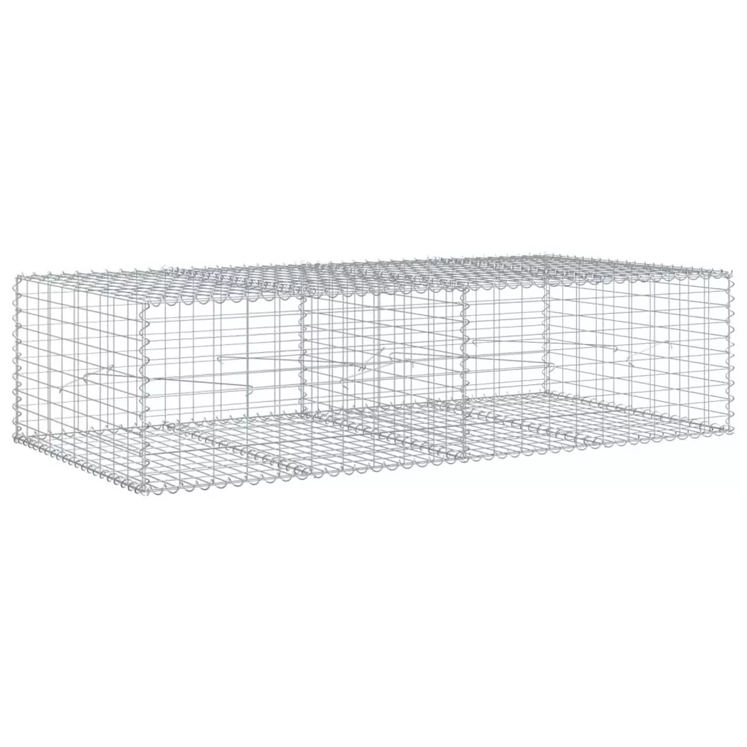 VidaXL - Gabionenkorb eisen, One Size, Silber