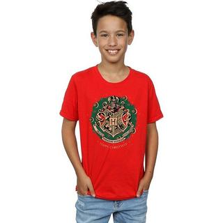 Harry Potter  Tshirt 