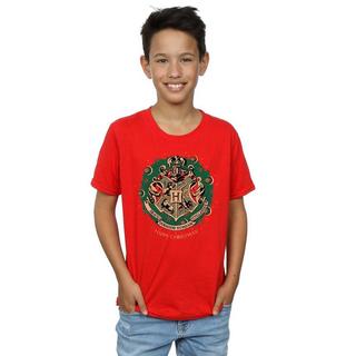 Harry Potter  Tshirt 