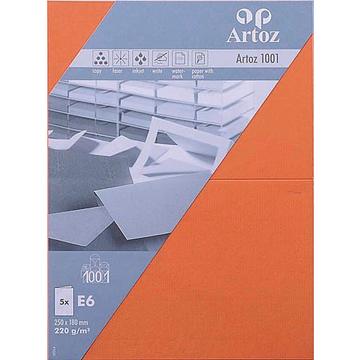ARTOZ Karten 1001 E6, 5 Blatt