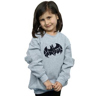 DC COMICS  Sweatshirt 