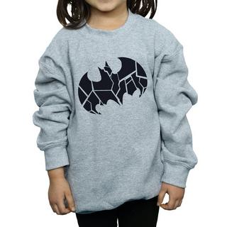 DC COMICS  Sweatshirt 