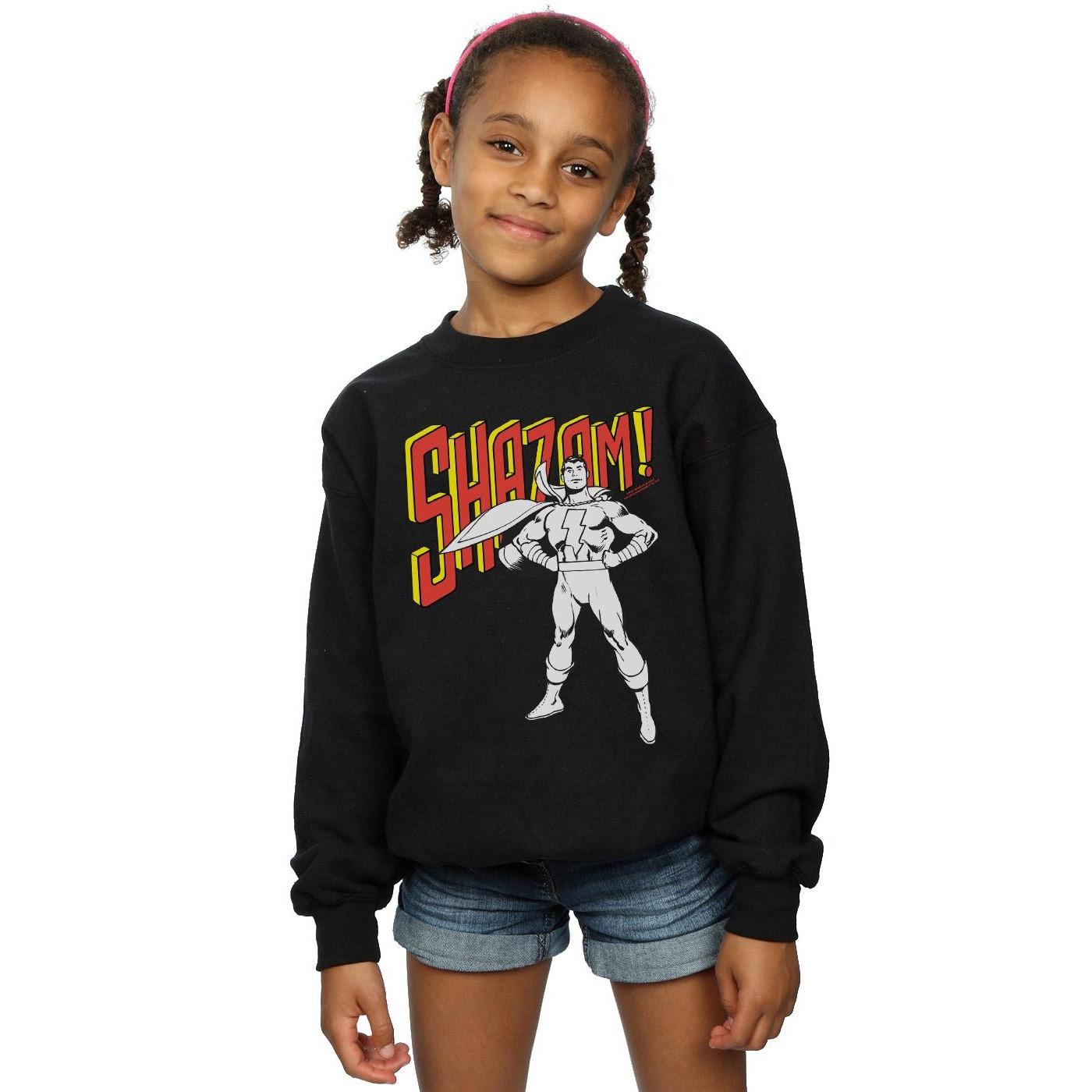 DC COMICS  Sweatshirt 