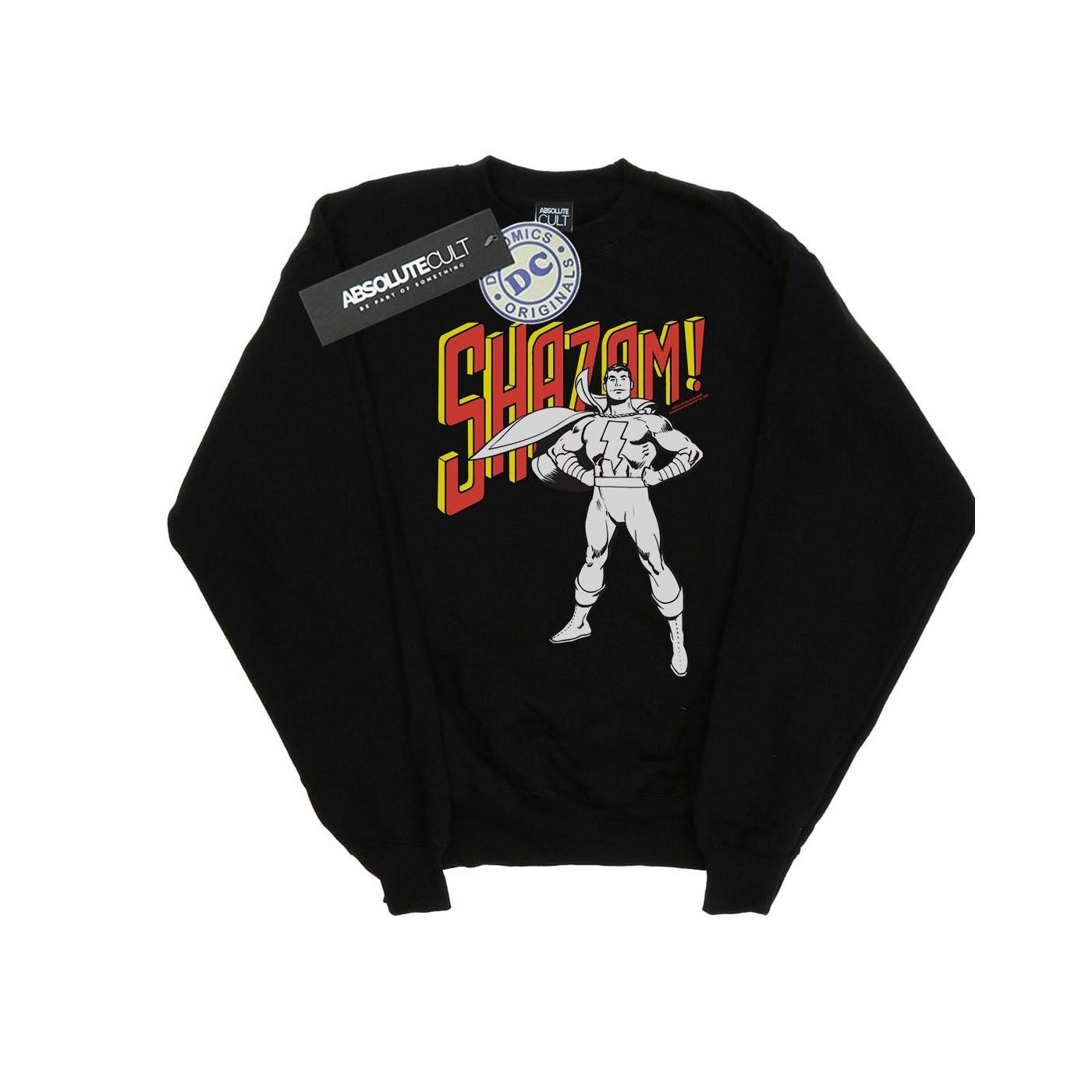 DC COMICS  Sweatshirt 