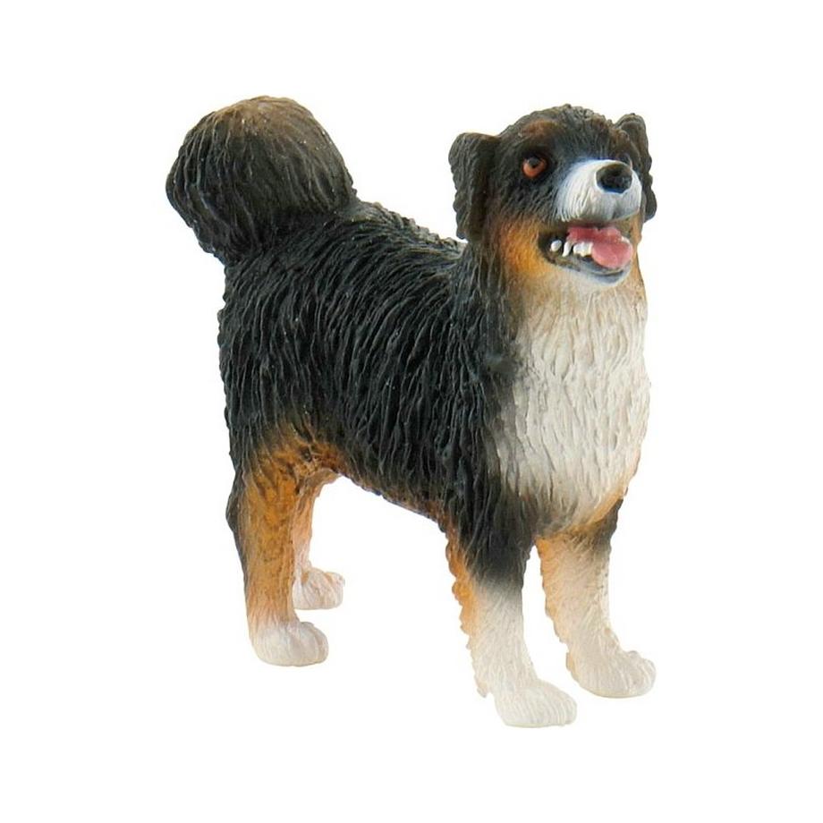 Australien Herdehund