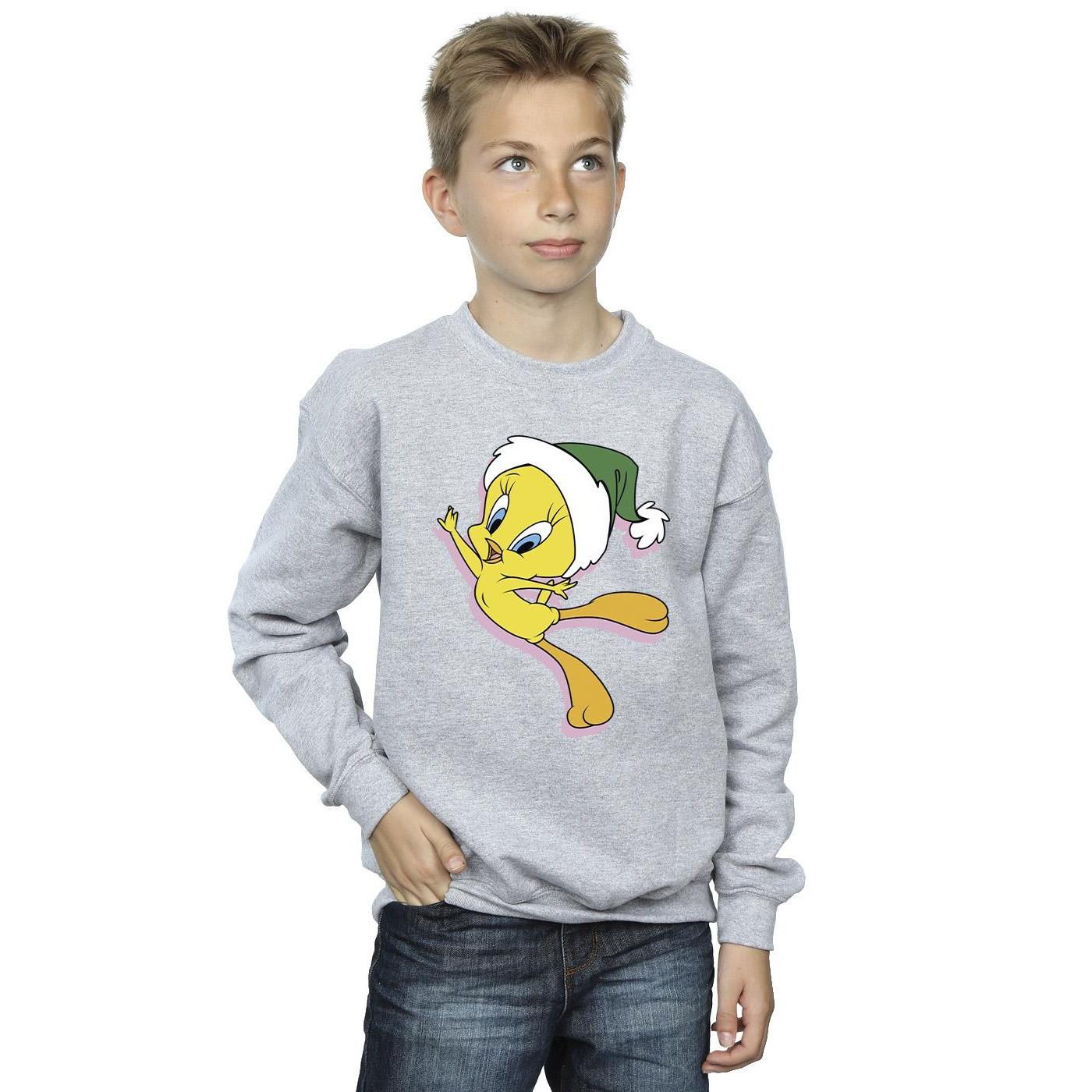 LOONEY TUNES  Tweety Christmas Hat Sweatshirt 