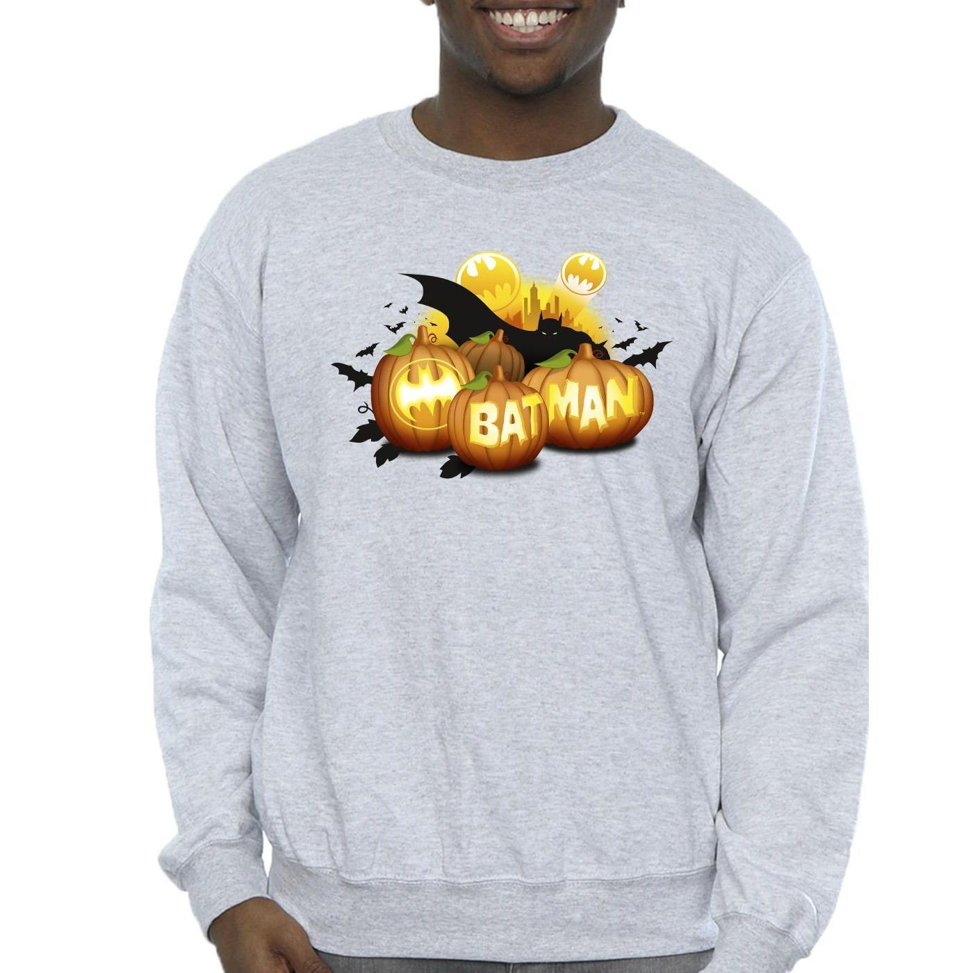 DC COMICS  Sweatshirt 