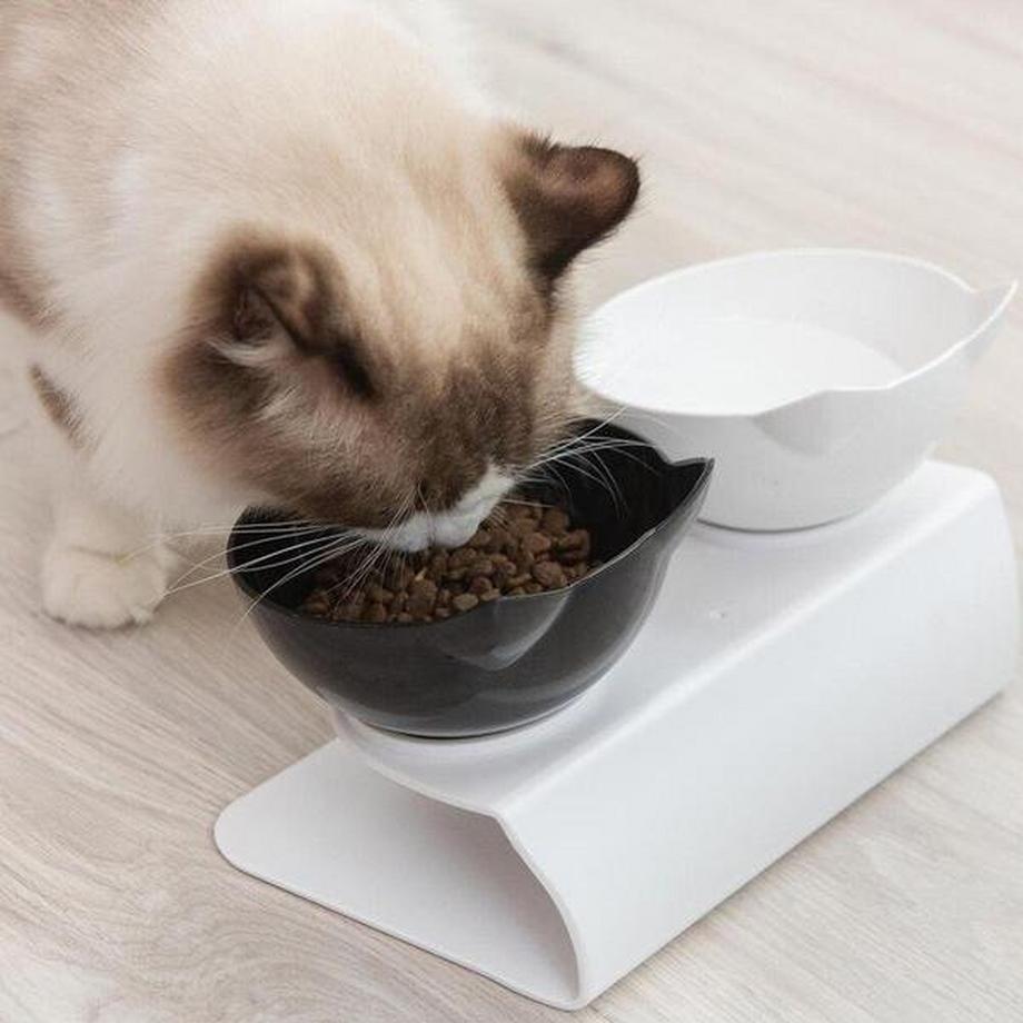 eStore  2x Ergonomische Katzennäpfe - SchwarzTransparent 