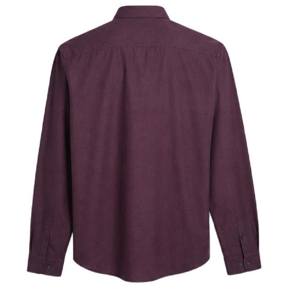 FARAH  Camicia Button Down Regolare 