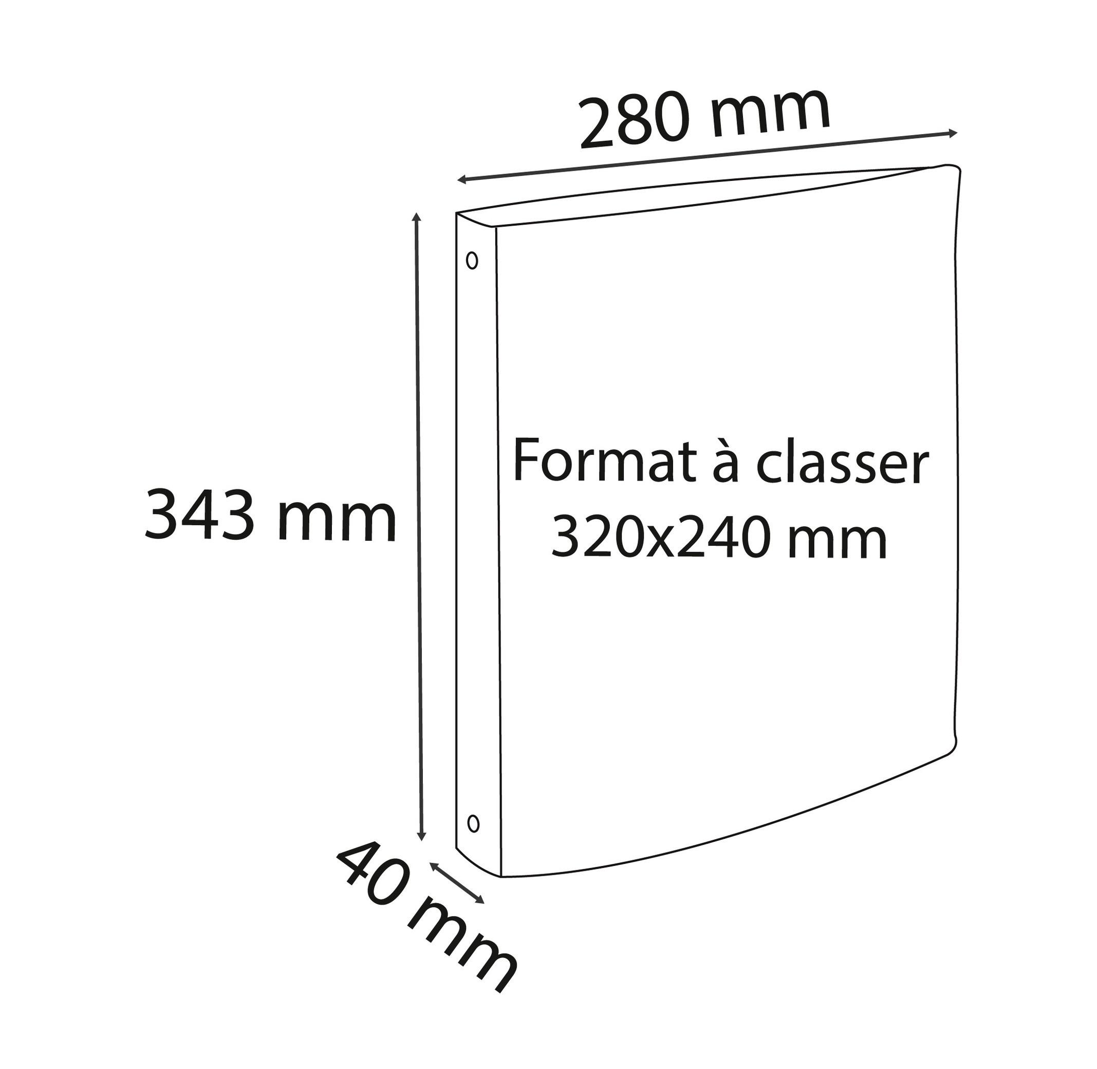 Exacompta Classeur rembordé PVC 4 anneaux 30mm - A4 maxi 24x32cm - x 10  