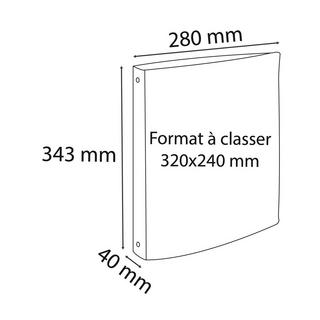 Exacompta Classeur rembordé PVC 4 anneaux 30mm - A4 maxi 24x32cm - x 10  