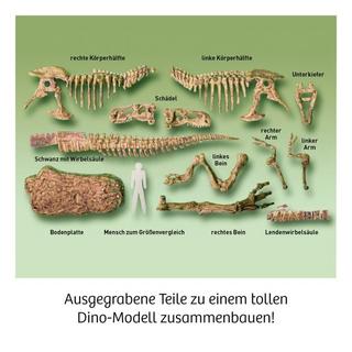 Kosmos  T-Rex 3D 