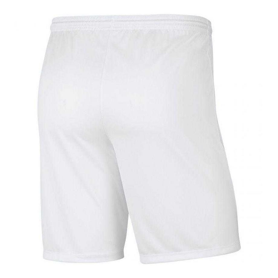NIKE  Short Dry Park 