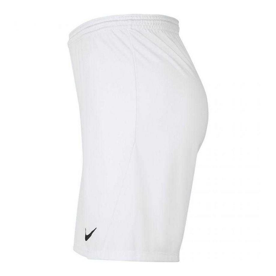 NIKE  Short Dry Park 