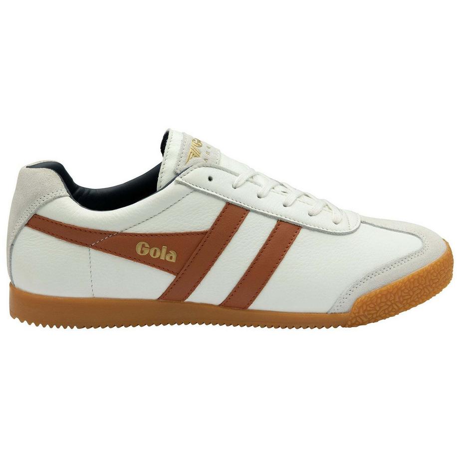 Scarpe da ginnastica in pelle  Harrier