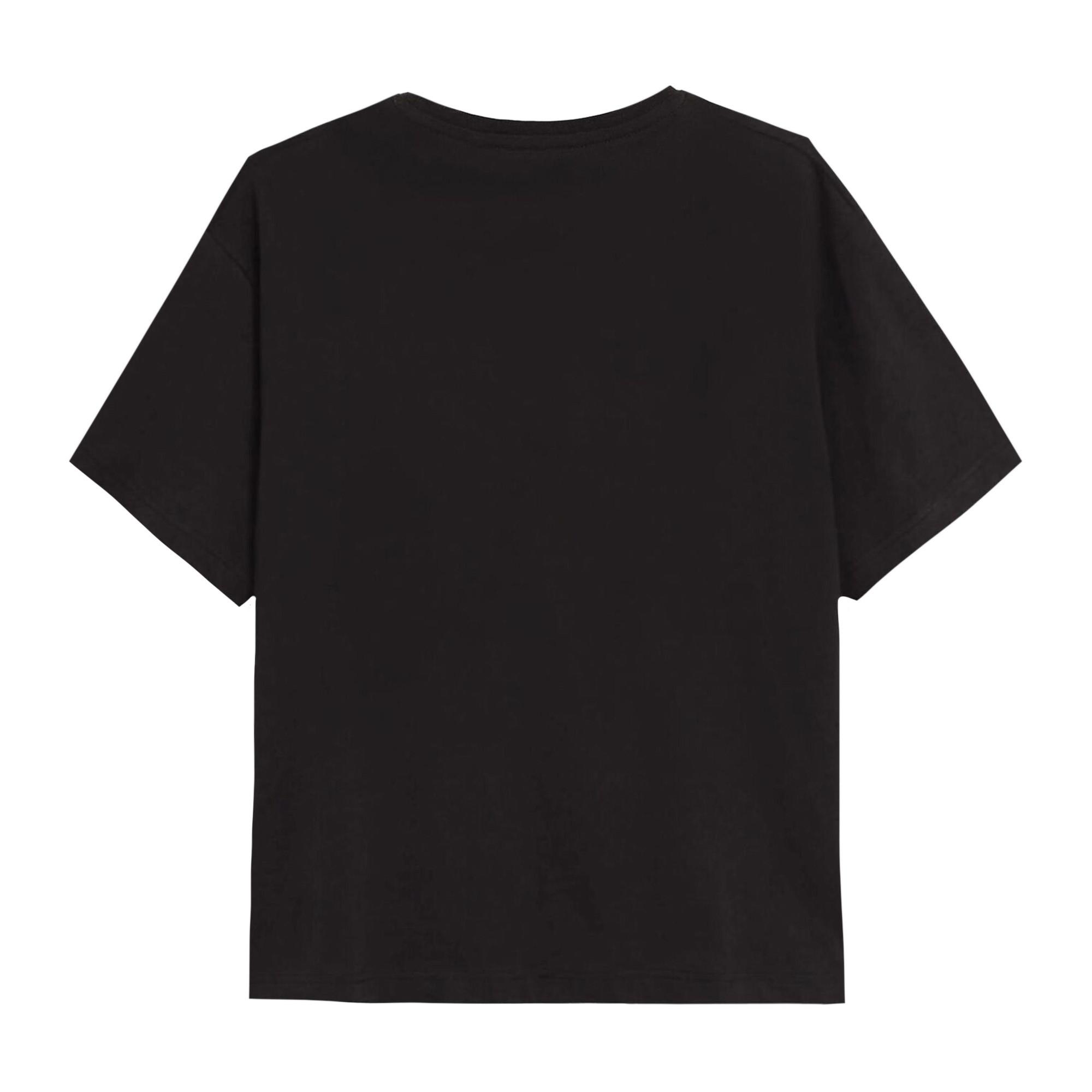 Jurassic Park  Tshirt 