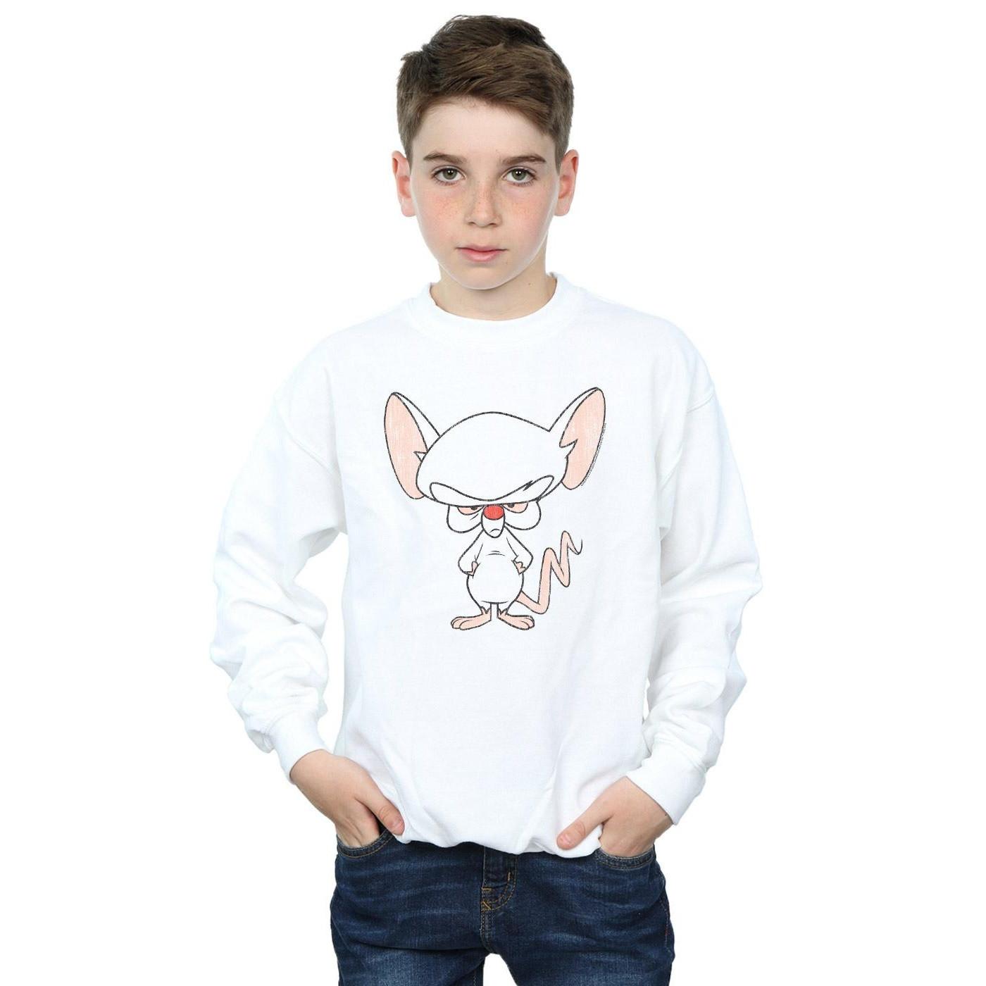 Animaniacs  Sweatshirt 