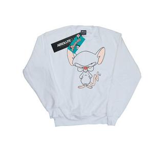 Animaniacs  Sweatshirt 