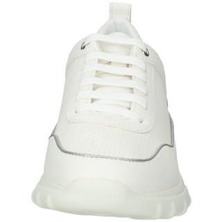 GEOX  Sneaker 