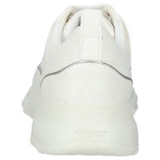 GEOX  Sneaker 