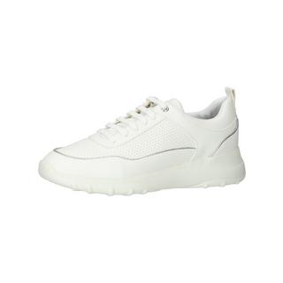 GEOX  Sneaker 