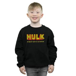 MARVEL  AKA Robert Bruce Banner Sweatshirt 