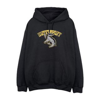 HARRY-POTTER  Kapuzenpullover 