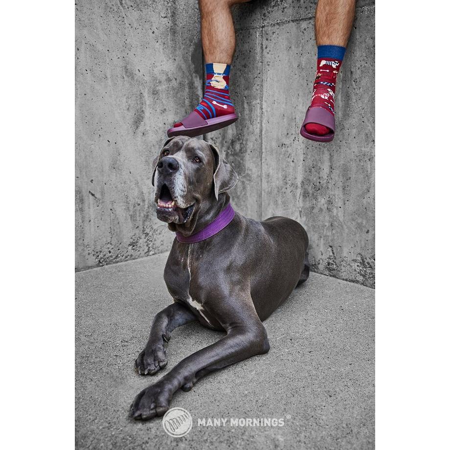Many Mornings Walkie Doggie Socken  