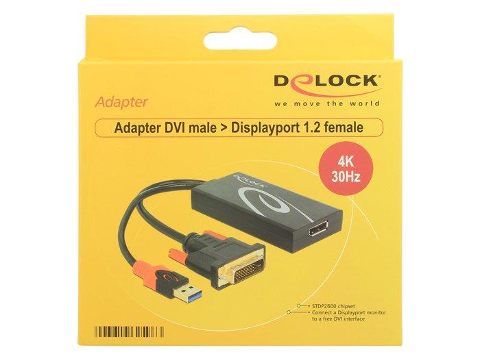 DeLock  Adaptateur  DVI-D USB DisplayPort 