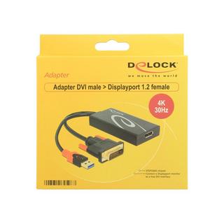 DeLock  Adaptateur  DVI-D USB DisplayPort 