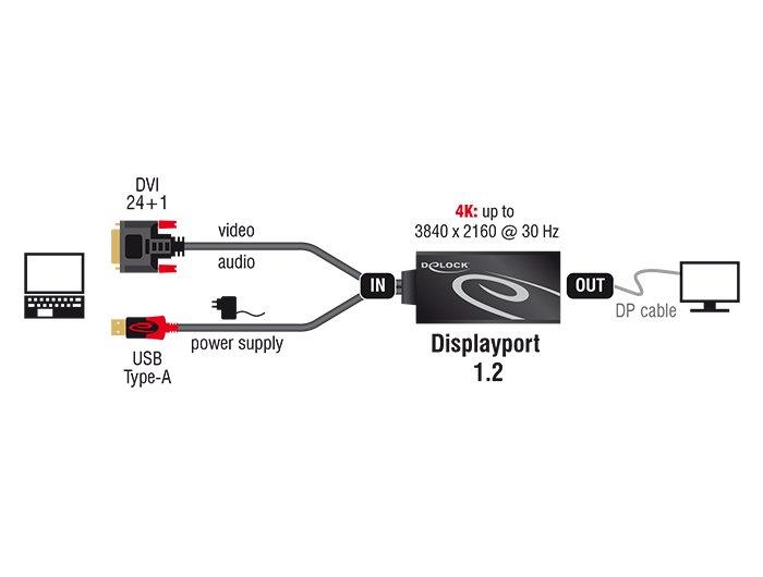 DeLock  Adaptateur  DVI-D USB DisplayPort 