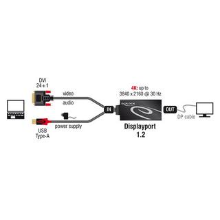 DeLock  Adaptateur  DVI-D USB DisplayPort 