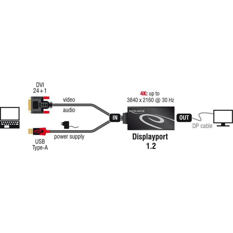 DeLock  Adaptateur  DVI-D USB DisplayPort 