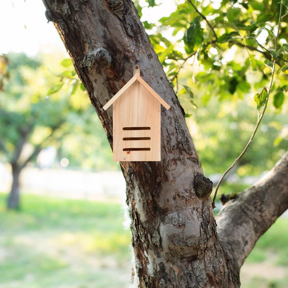 B2X Marienkäferhaus aus Fichte  