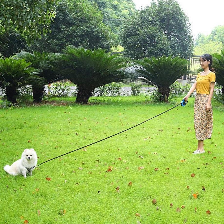 eStore  Einziehbare Hundeleine, 3 m - Weiß 