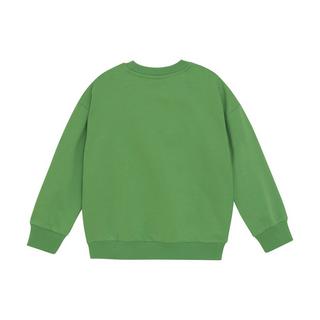 Minymo  Pullover Peppermint 