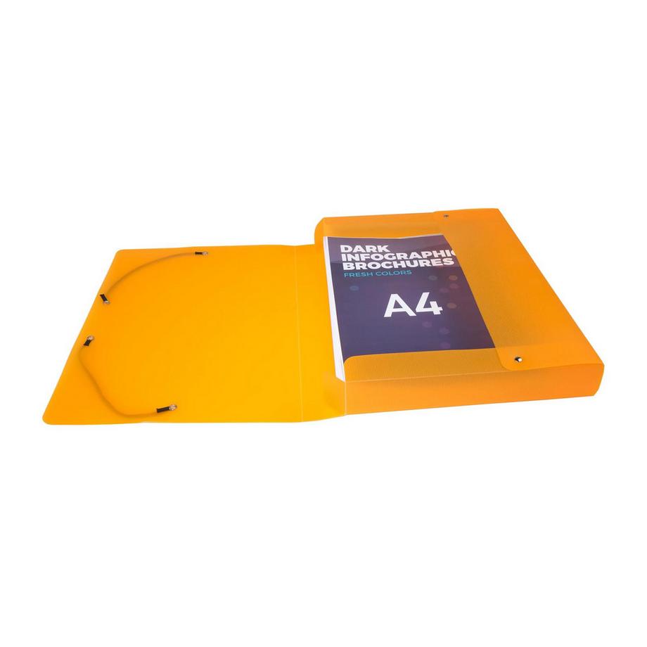 Exacompta Boite de classement Dos 40mm polypropylène 8/10e Lincolor - A4 - x 11  