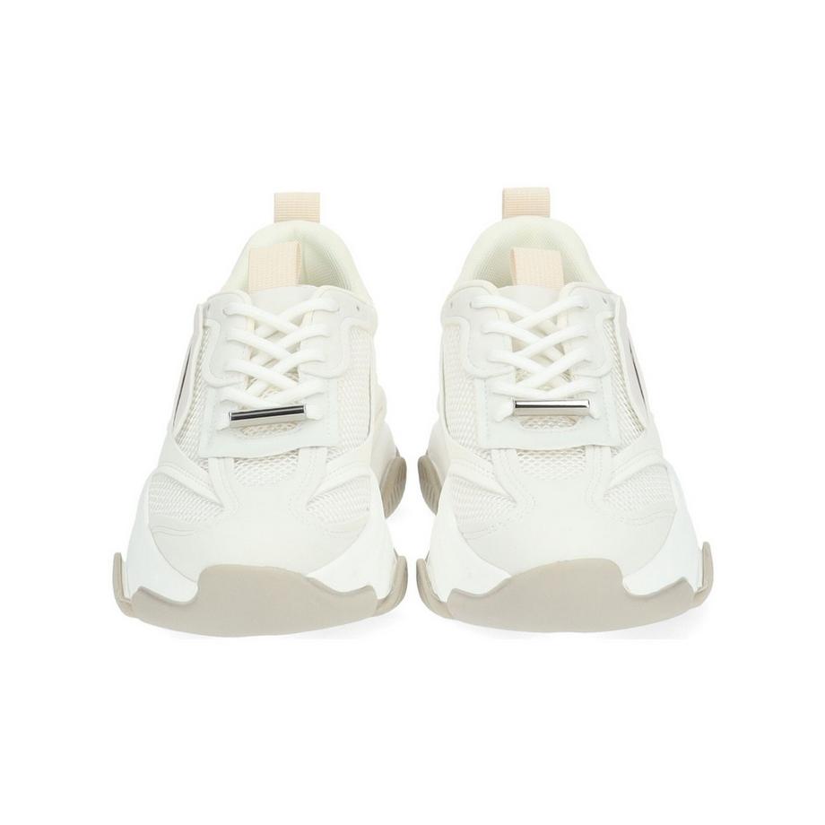 STEVE MADDEN Possession-E SM19000033 Plateau Sneaker  