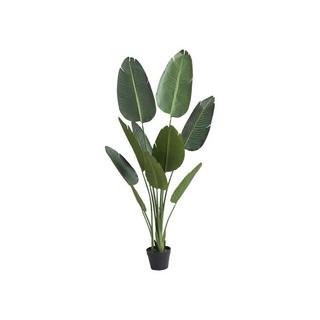 Vente-unique Kunstpflanze Bananenbaum mit Topf - H. 160 cm - Grün - NENDAZ  