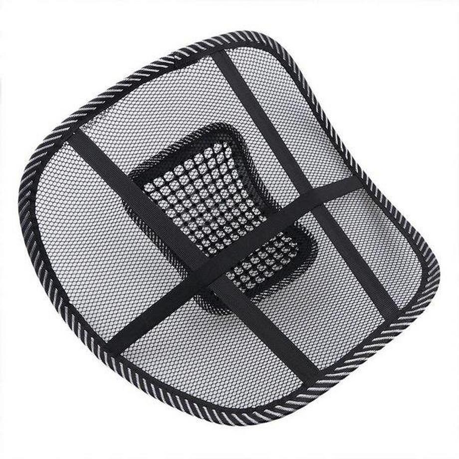 eStore  Lordosenstütze für Stuhl und Autositz 